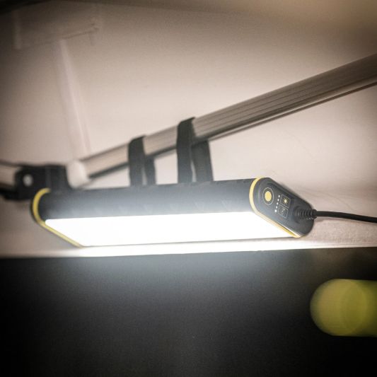 Ledlenser AT10C bouwlamp