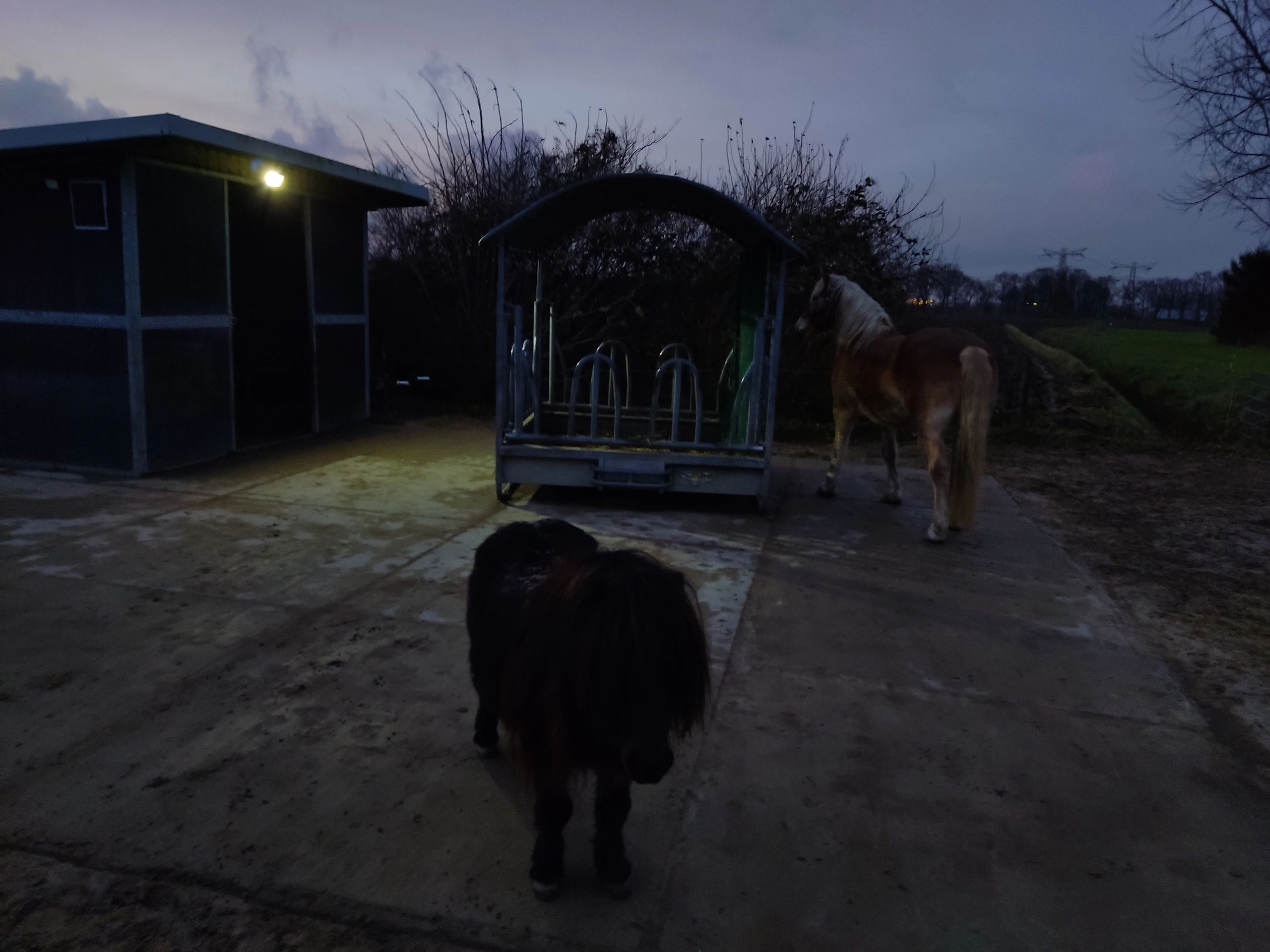 Solar LED schijnwerper Capital II met los zonnepaneel