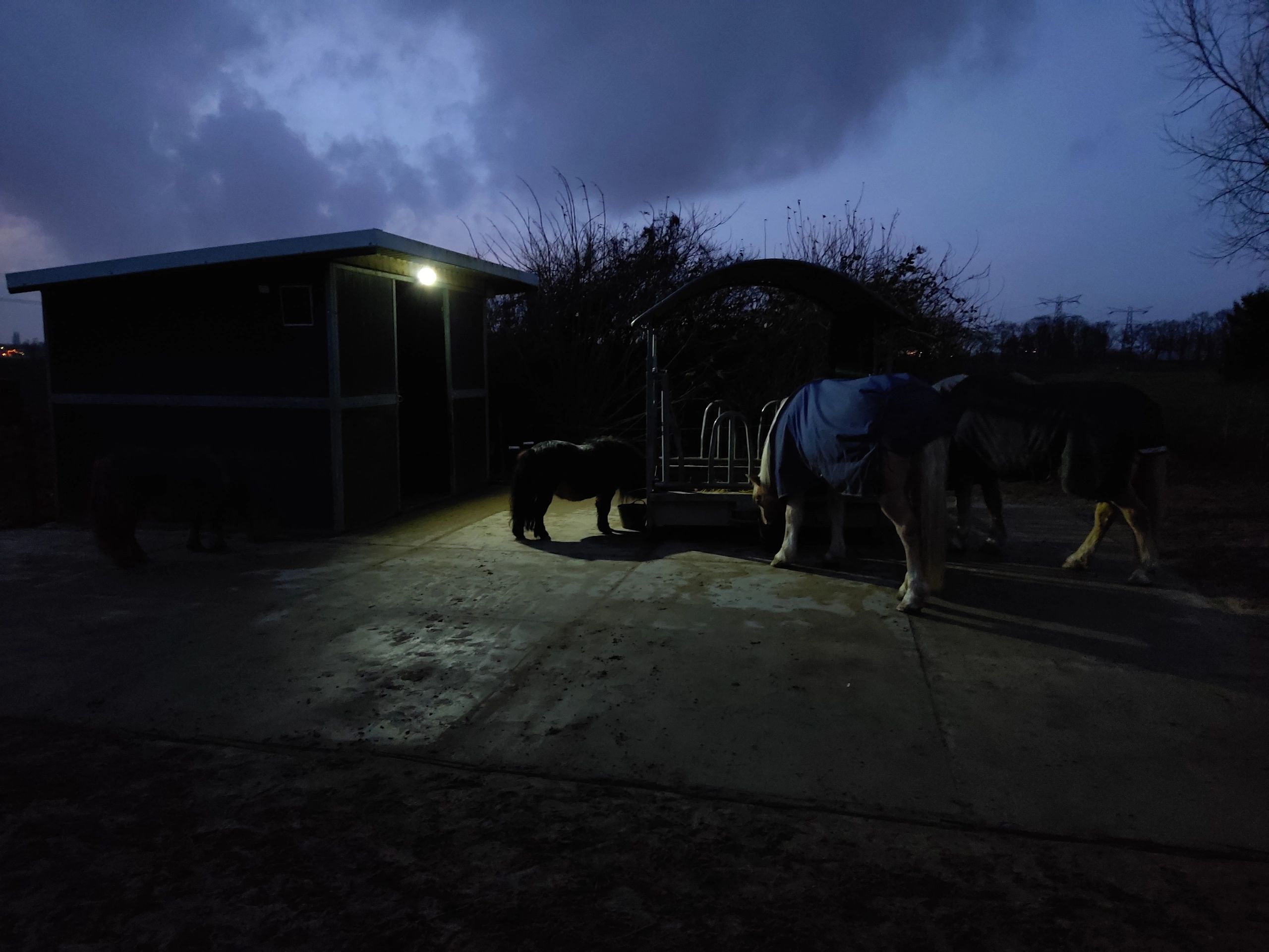Solar LED schijnwerper Capital II met los zonnepaneel