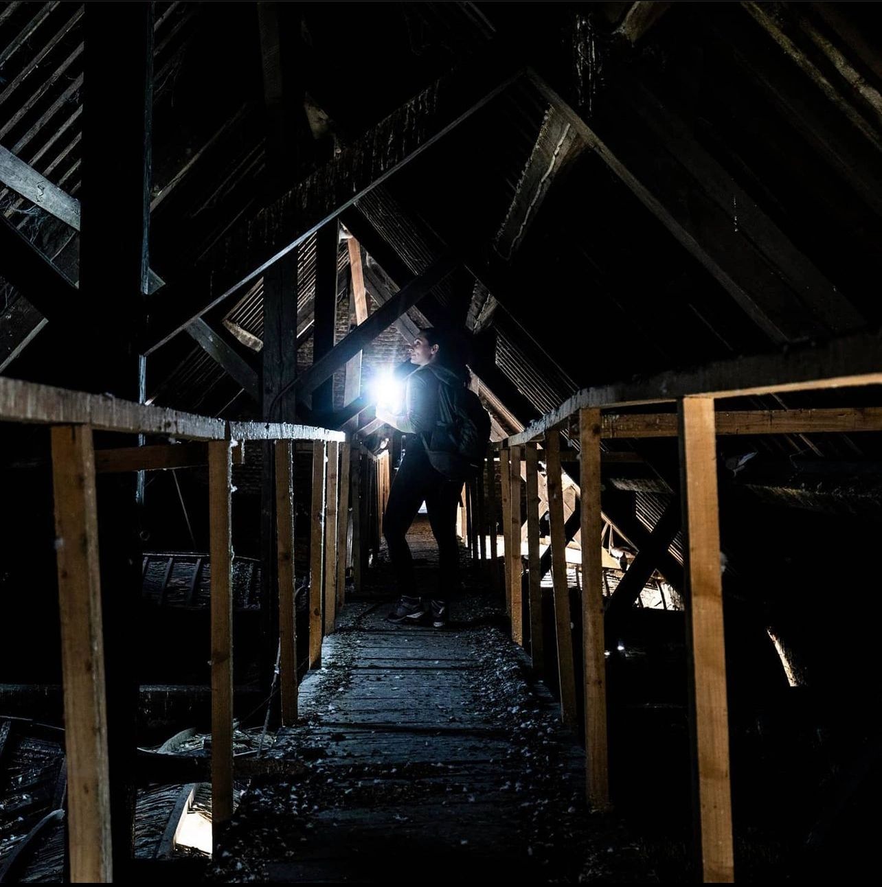 Krachtige oplaadbare LED looplamp met zaklampfunctie 1000 Lumen